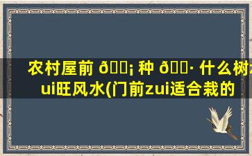 农村屋前 🐡 种 🌷 什么树zui
旺风水(门前zui
适合栽的是哪种树)